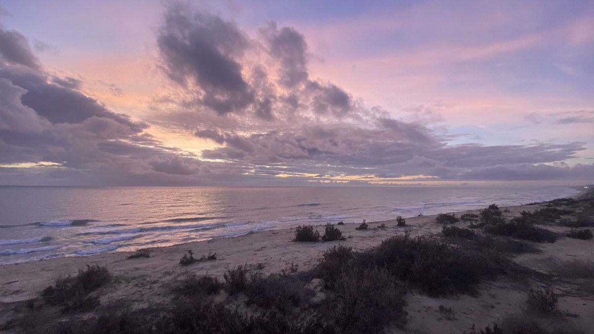 JoseLSaezPastor's tweet image. Buenos días y feliz fin de semana desde las dunas de #Playa #Vivers y desembocadura del #Segura @GuardamarTurism #Deporte #MedioAmbiente #Naturaleza #Playas #Gastronomía #Cultura #Patrimonio #Comercio #Servicios #CalidadVida @MeteOrihuela