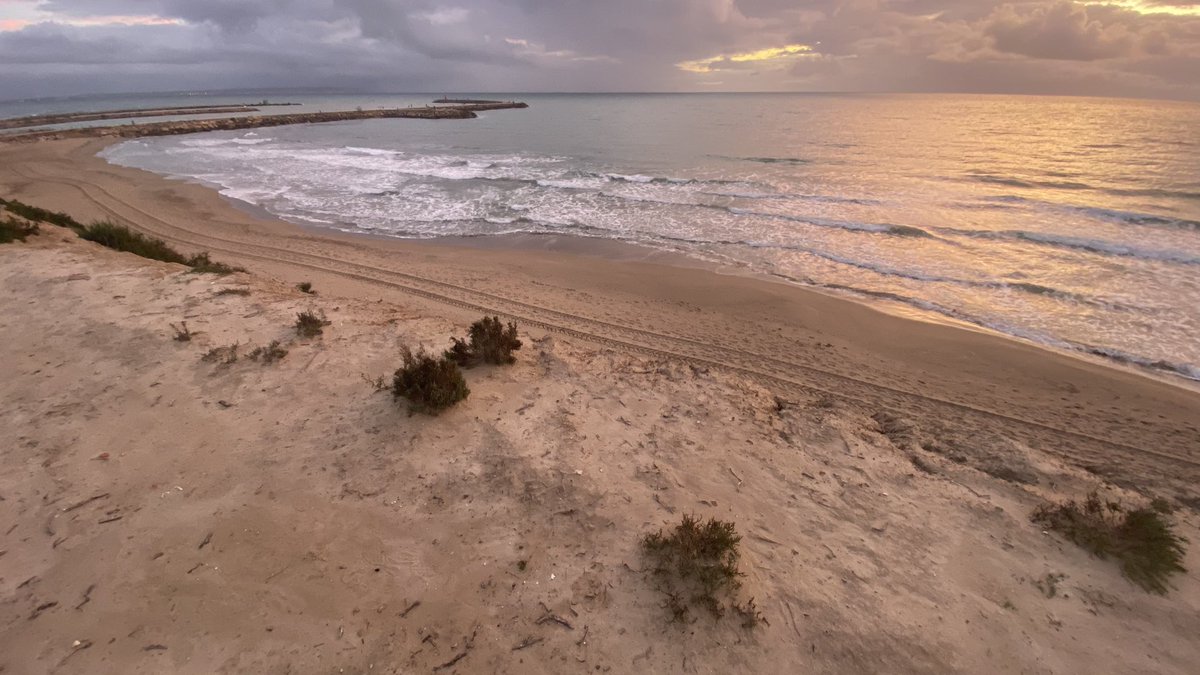 JoseLSaezPastor's tweet image. Buenos días y feliz fin de semana desde las dunas de #Playa #Vivers y desembocadura del #Segura @GuardamarTurism #Deporte #MedioAmbiente #Naturaleza #Playas #Gastronomía #Cultura #Patrimonio #Comercio #Servicios #CalidadVida @MeteOrihuela