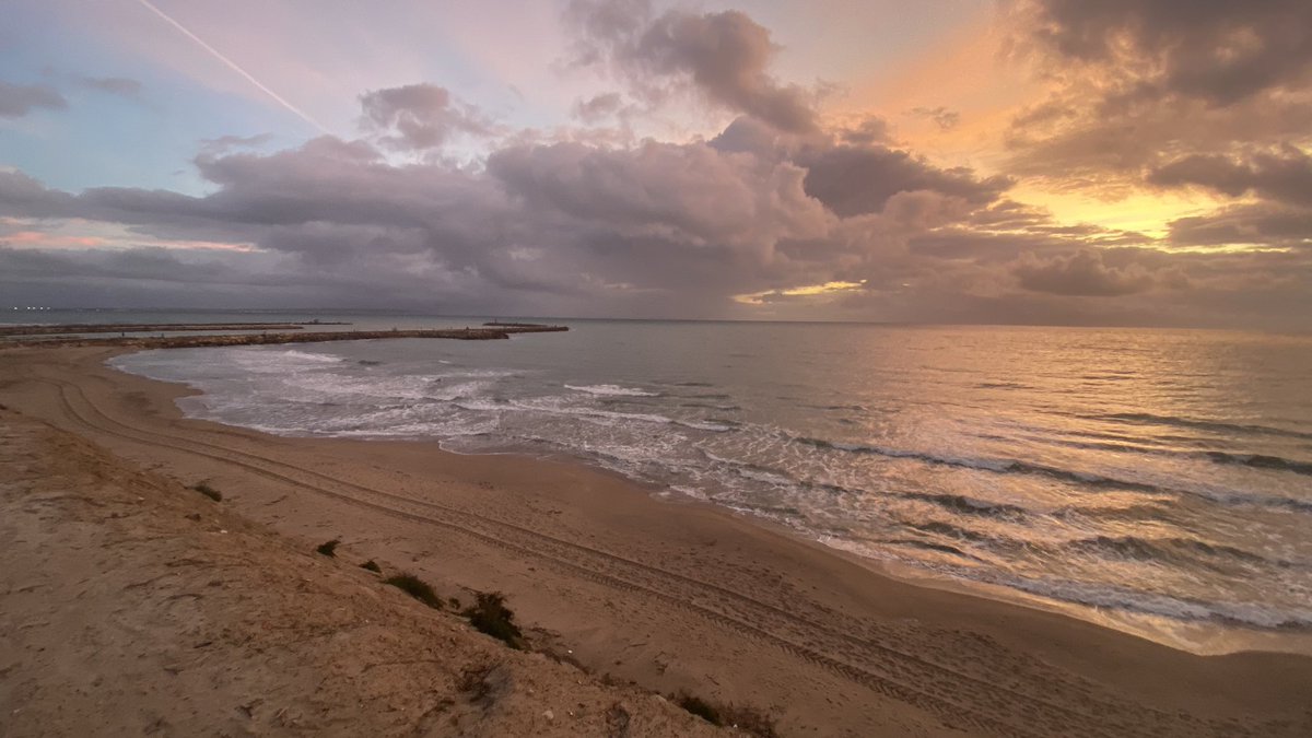 JoseLSaezPastor's tweet image. Buenos días y feliz fin de semana desde las dunas de #Playa #Vivers y desembocadura del #Segura @GuardamarTurism #Deporte #MedioAmbiente #Naturaleza #Playas #Gastronomía #Cultura #Patrimonio #Comercio #Servicios #CalidadVida @MeteOrihuela