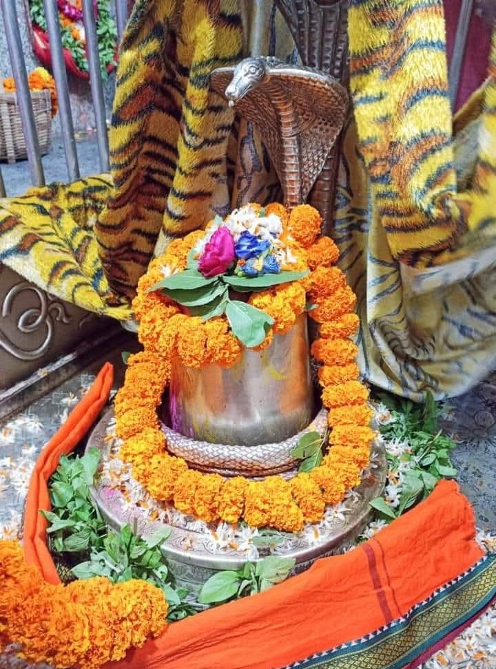 _SanatanDharma's tweet photo. जय श्री बाबा बालेश्वर नाथ जी
श्री बाबा बालेश्वर नाथ जी महाराज का बाल भोग आरती  श्रृंगार दर्शन २३ नवंबर २०२४ ( शनिवार ) ।
जय श्री बाबा बालेश्वर नाथ 
जय माँ पार्वती https://t.co/JsPdPPqHBA