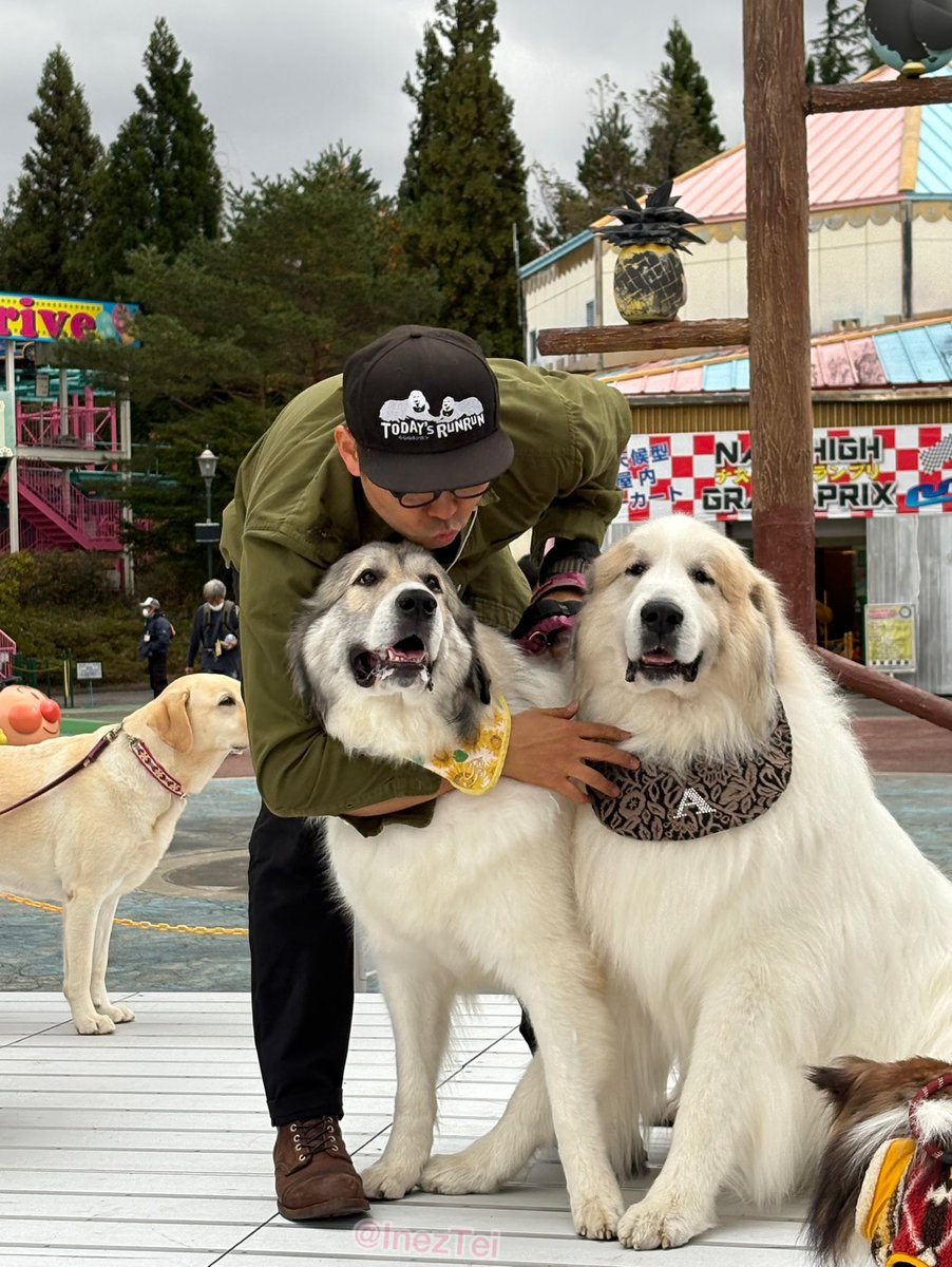 InezTei's tweet photo. 🐶わんこFes 2024🐶
　
アランとベルとお兄さん ①
　
#今日のルンルン　#月刊わんこ https://t.co/s2VULaRjqD