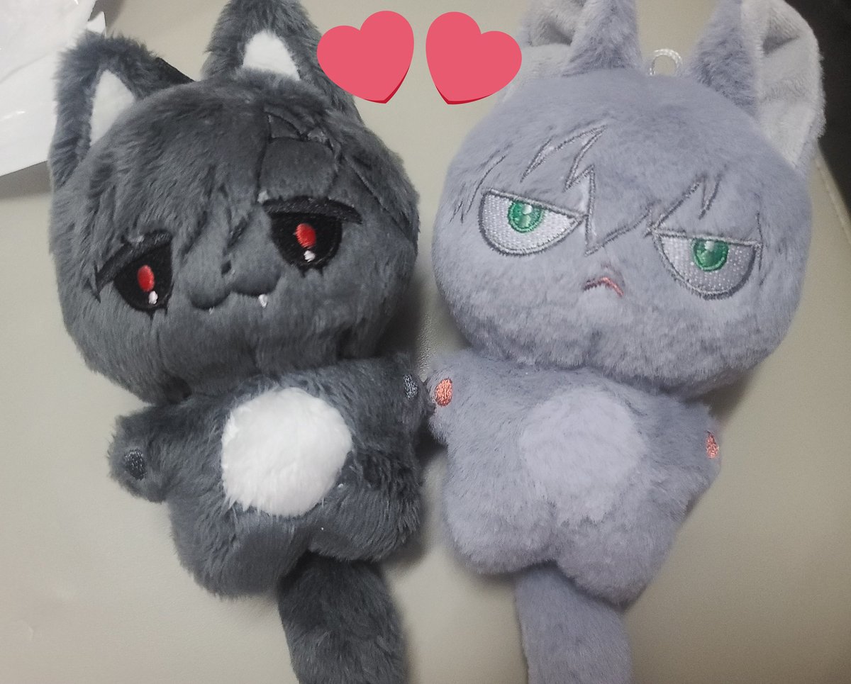 bcatbcat's tweet photo. 🥰🥰🥰🥰🥰cuteee https://t.co/avj2fRM8I0
