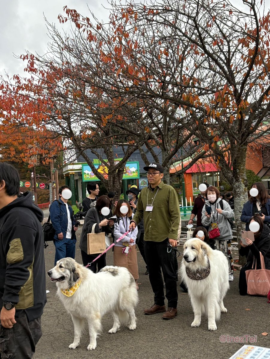 InezTei's tweet photo. 🐶わんこFes 2024🐶
　
アランとベルとお兄さん ② 
(とお母さん) 
　
#今日のルンルン　#月刊わんこ https://t.co/WLJlpYfWti