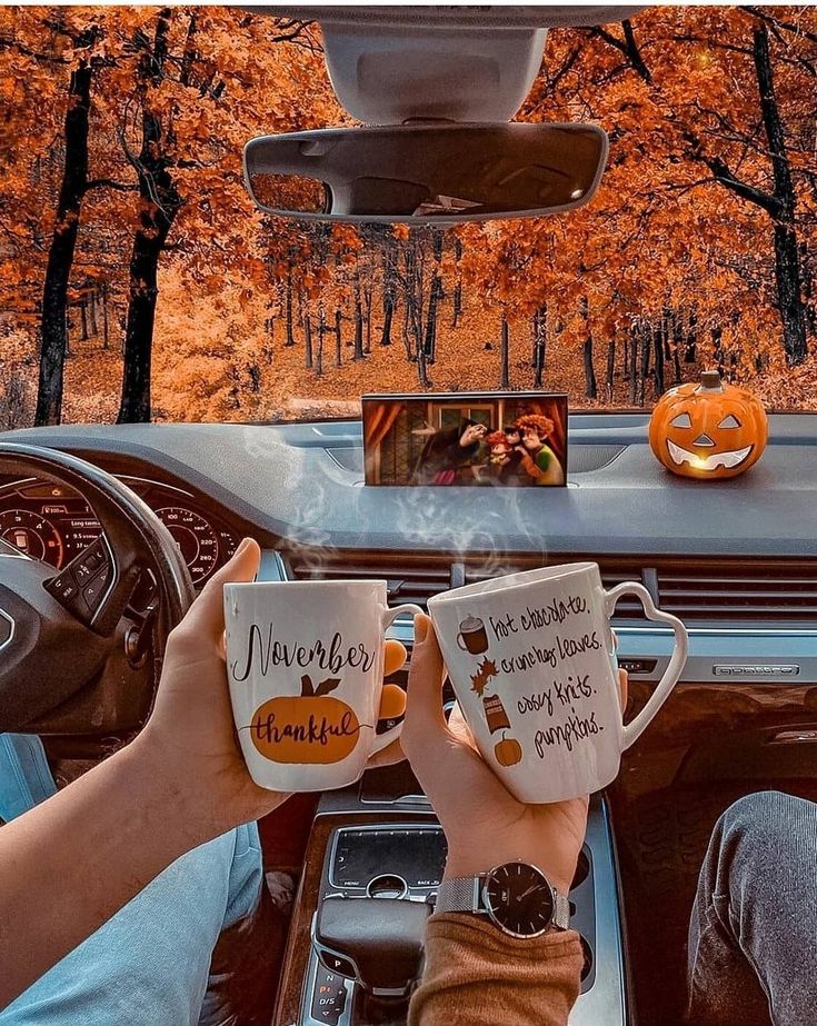 호다신 (@holaldashin) on Twitter photo 