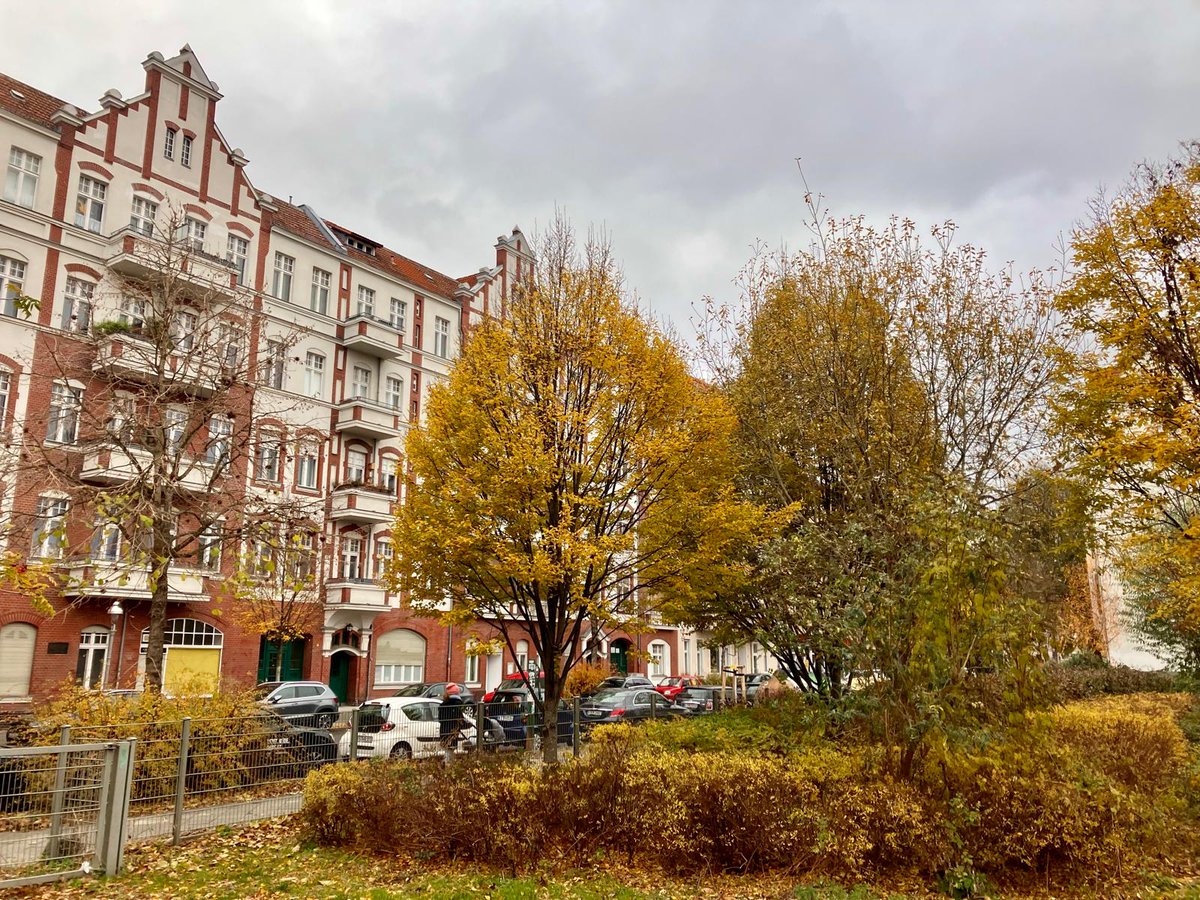 Guten Morgen Wedding! Sprengelstraße 

Schöne Bilder aus dem Wedding - bei uns demnächst nur noch auf Bluesky, Mastodon und Co.