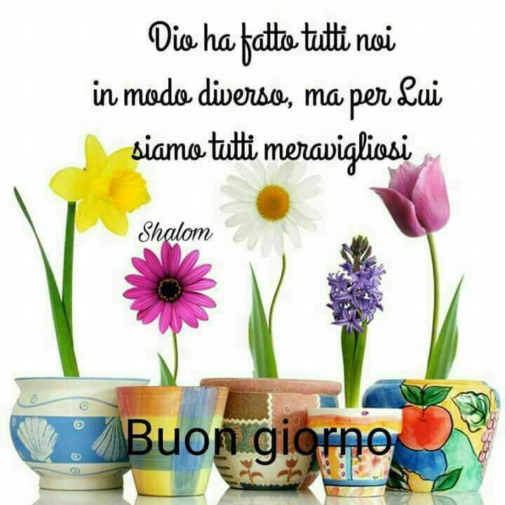 Marianna tweet media