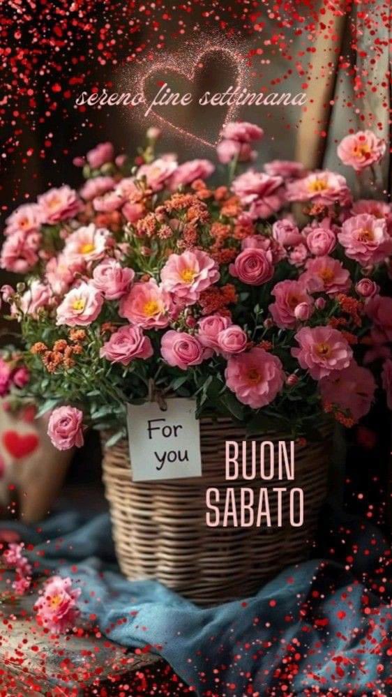 RITABIANCHi56 tweet media