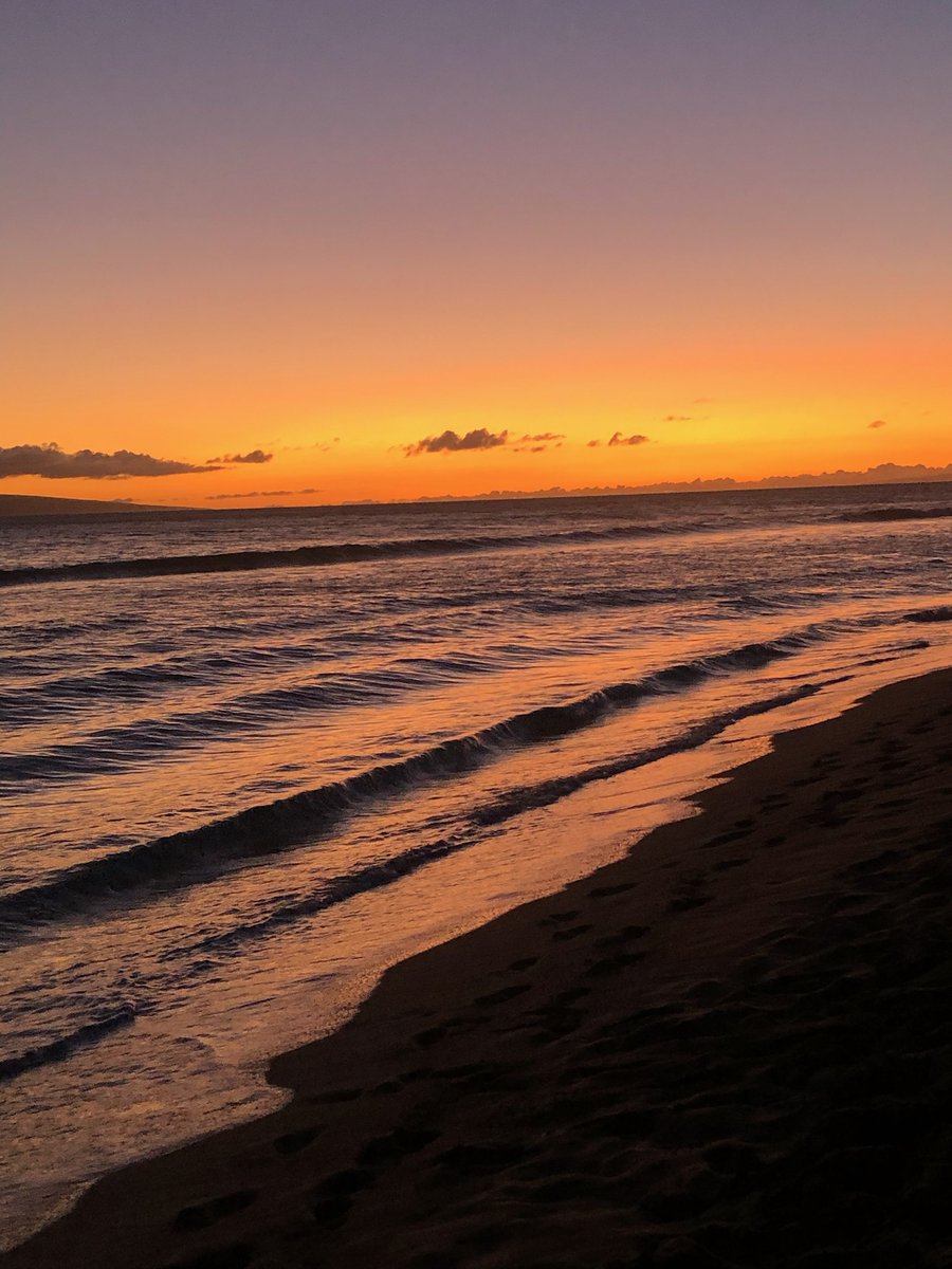 Aaron Torres tweet media