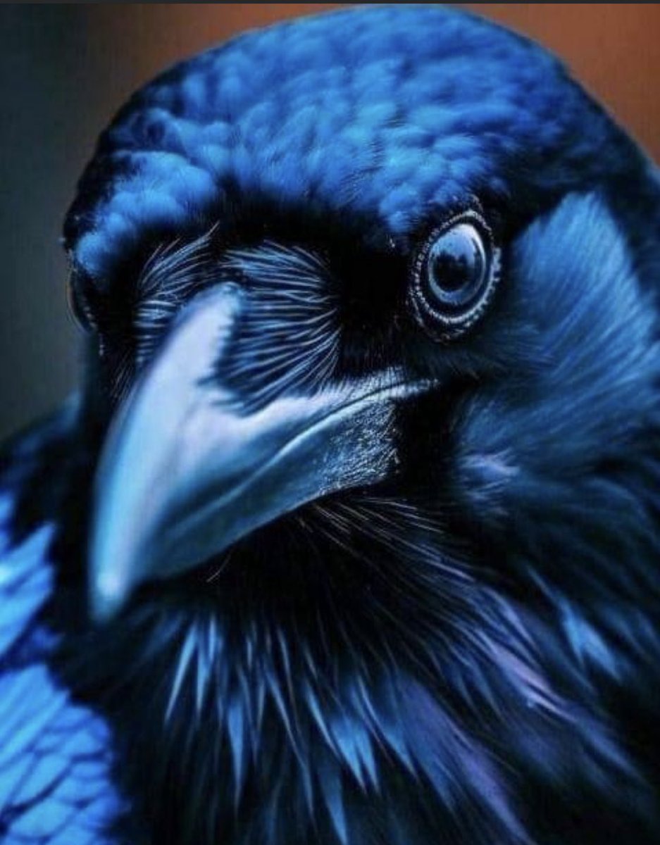 MalinasWOrld's tweet image. Life ….. #Tlingit I will remain a spiritual being ….. huh Life