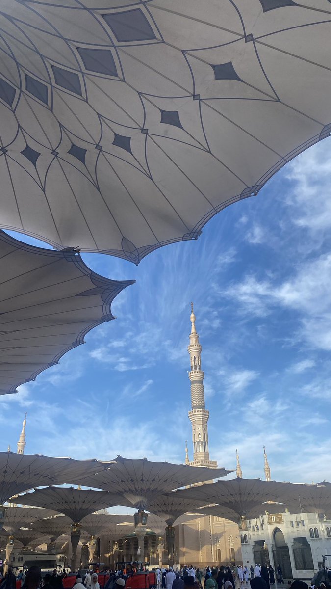 nine🍉 tweet media