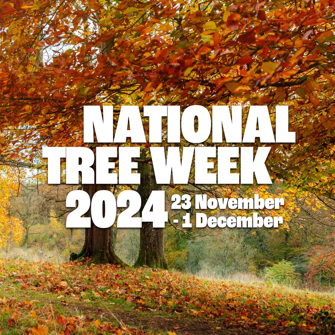Happy #NationalTreeWeek 2024🌳✨⁠
⁠
National Tree Week brings together organisations and charities across the sector, volunteers and tree-lovers to mark the start of the annual tree planting season, with events, talks and tree activities taking place across the UK.⁠