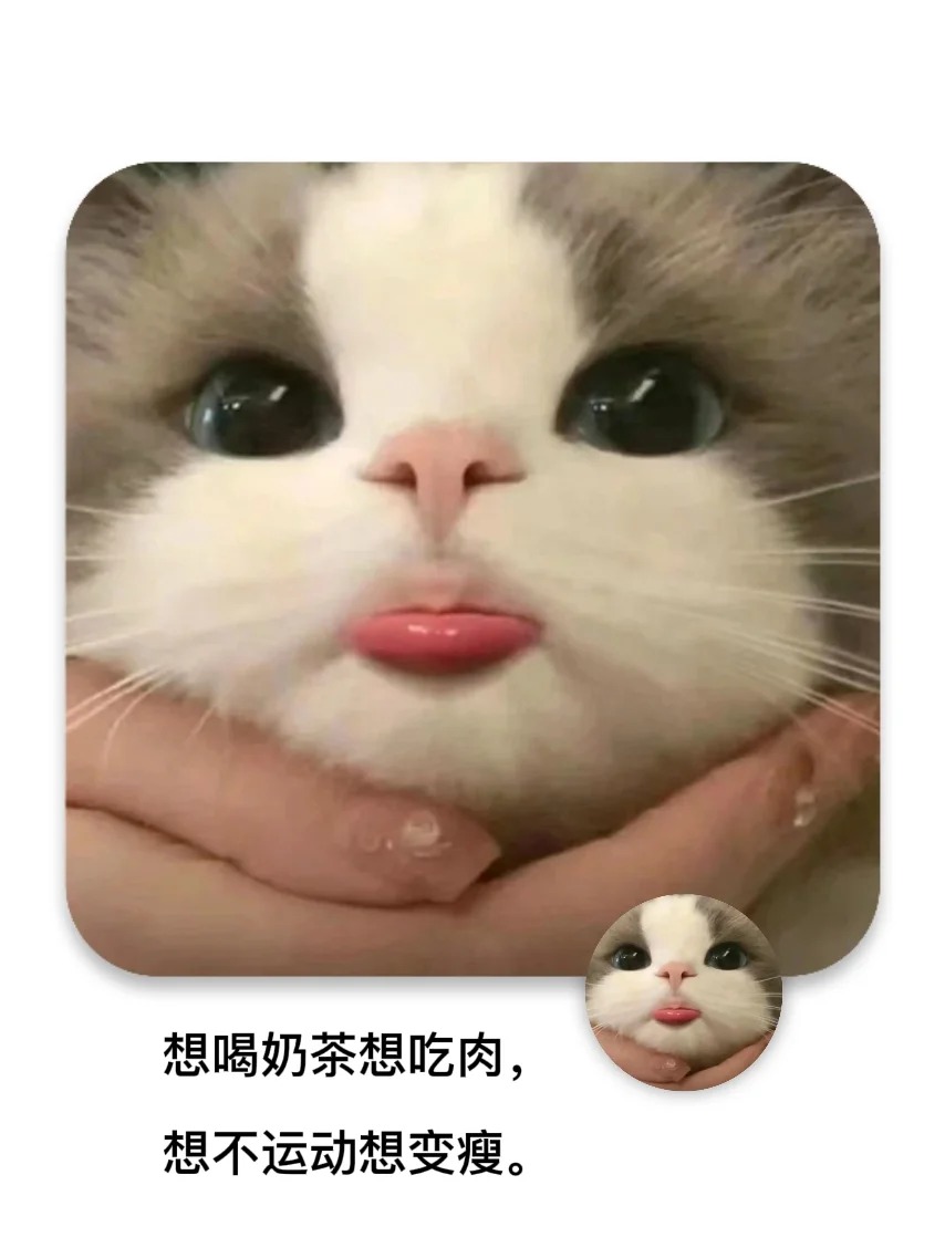 星璃梦(互fo) (@xing_li_meng) on Twitter photo 