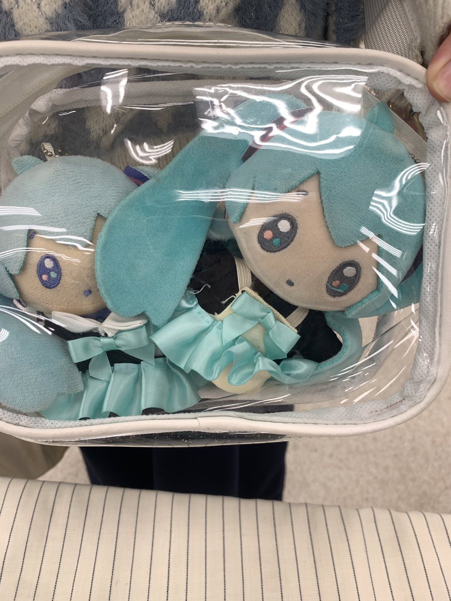 なんかこのぬいぐるみが「いのち」って呼ばれてるらしいです 