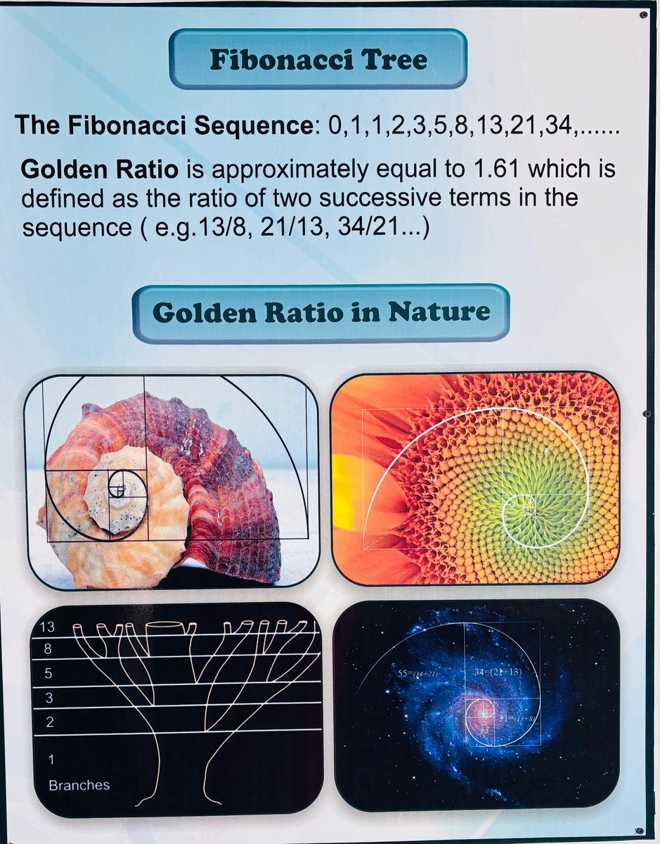 AartiMeghnani's tweet image. Where math meets art! 
Celebrating Fibonacci Day with stunning examples of the sequence in design @RscBhuj 

#FibonacciDay #MathArt