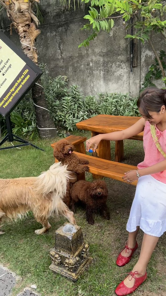 defonotisa's tweet image. harus🫡semangat💪kerja🤸‍♂️biar😙bisa👌jalan jalan🚶‍♀️‍➡️terus🎉