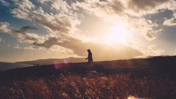 How we stumble -
You arrive after years like a broken bird.
You are finally a breath away from everything.

Mark Nepo