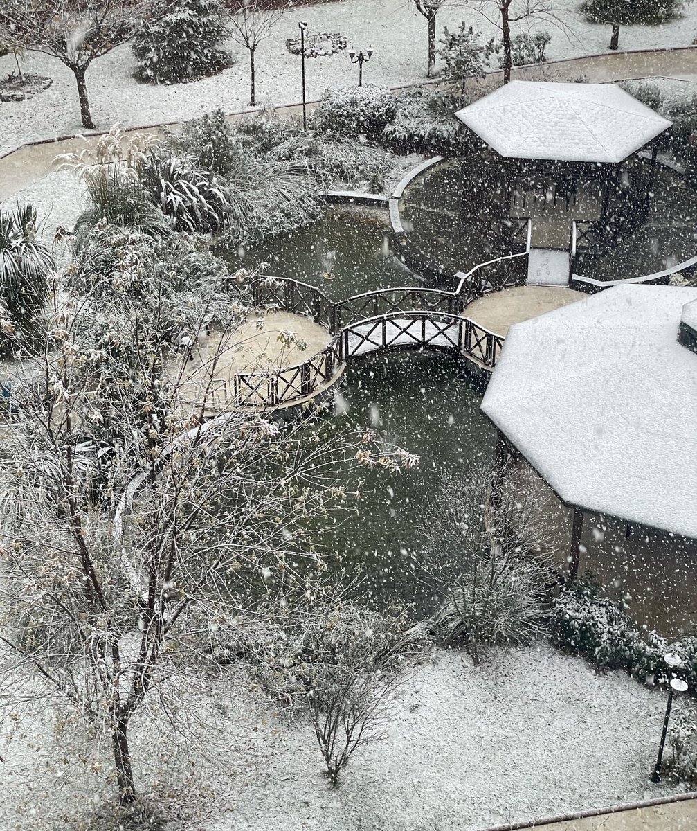 Günaydın sıradaki 1.000x'i yakalayıp emekli olma hayaliyle uykusuz kalanlar.

Senenin benim için ilk karına uyandım. Bu kar beraberinde bolca kâr getirsin. Altcoinler sonunda herkesi ikna edecek yükselişlere başlamış. Güzel uyandık.🫡