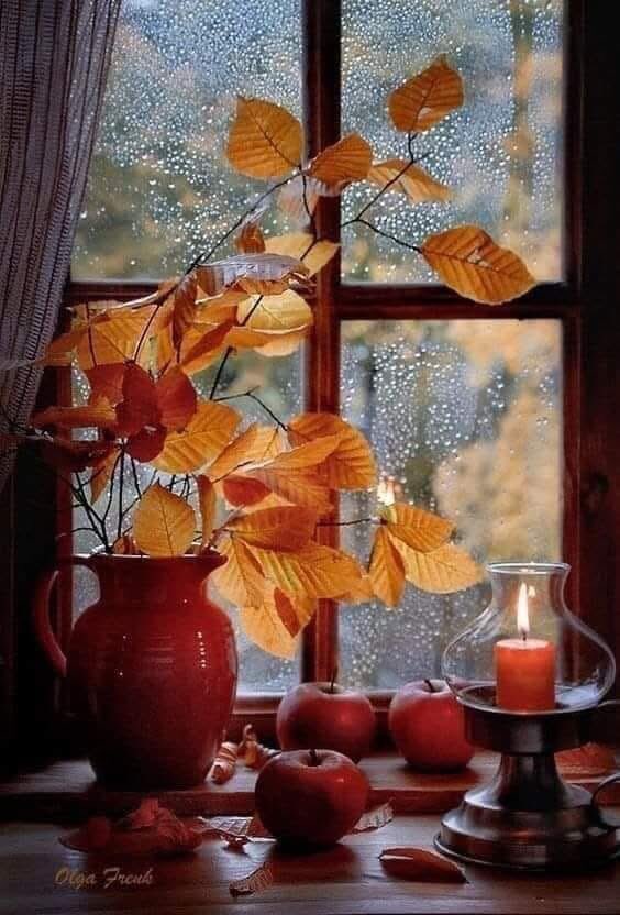 .
…
İçimizi üşüten, 
buzzz gibi bir kasım sabahı🍁☔️🍂

#Sağlıkla #huzurla🙏🙋‍♀️
#iyihaftasonları☔️🍁

GÜNAYDINNNNN🌻☕️🌻