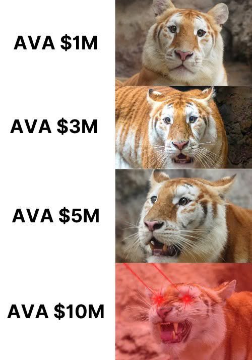 vkkkkkkkkk_'s tweet photo. #AvaGoldenTiger #avaonsol #AVA #MemeContest #Airdrop https://t.co/OUzHyIJLUj