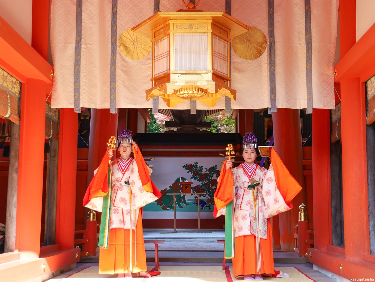 KASUGASHRINE's tweet photo. 11月23日 午前10時 #新嘗祭 が斎行されました。その年の五穀豊穣を感謝するお祭りです。
���日大神様の御神前に新穀や野菜を献じ作物の稔りに感謝し、国家安泰、国民の繁栄を祈念いたしました。
#春日大社 #春日若宮 #奈良 #神社 https://t.co/YxvI5gY2Ht