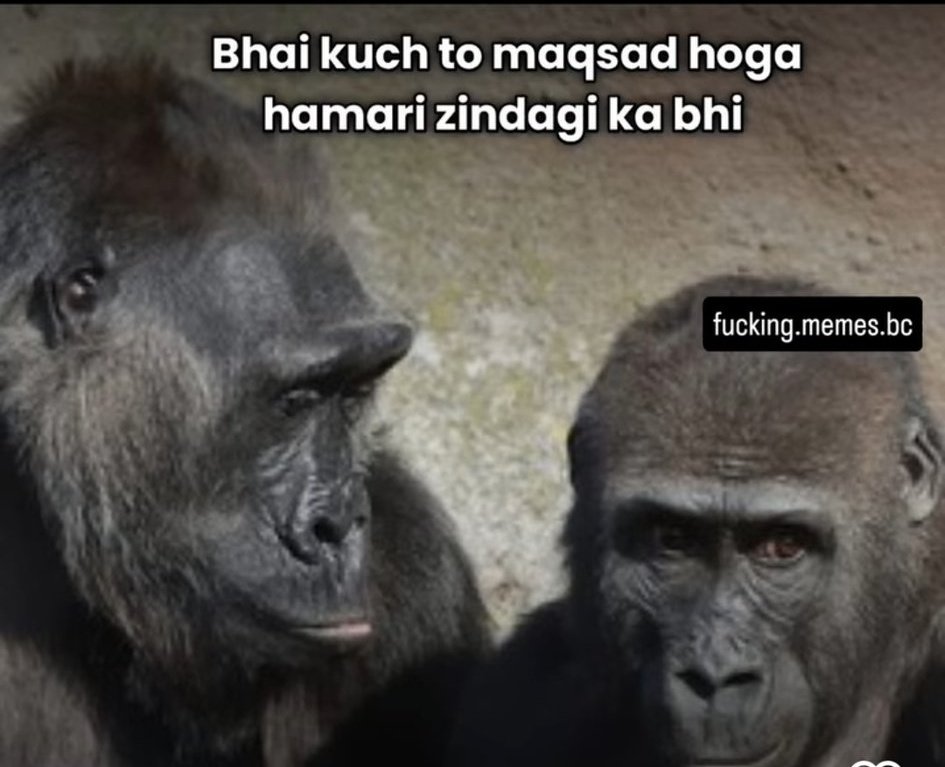 KK NEHRA tweet media