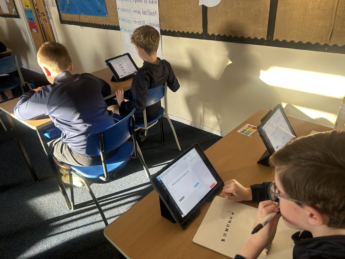 Shoreside Year 4 tweet media