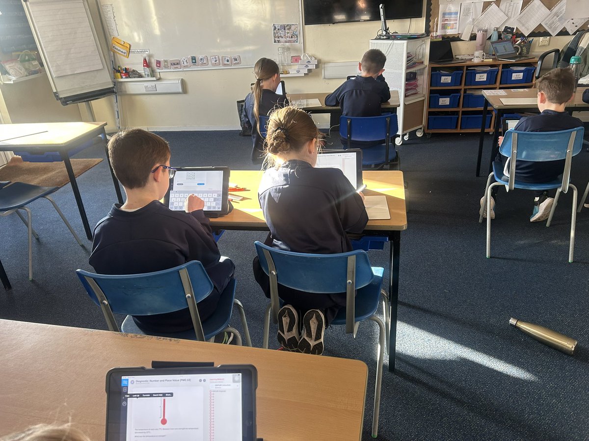 Shoreside Year 4 tweet media