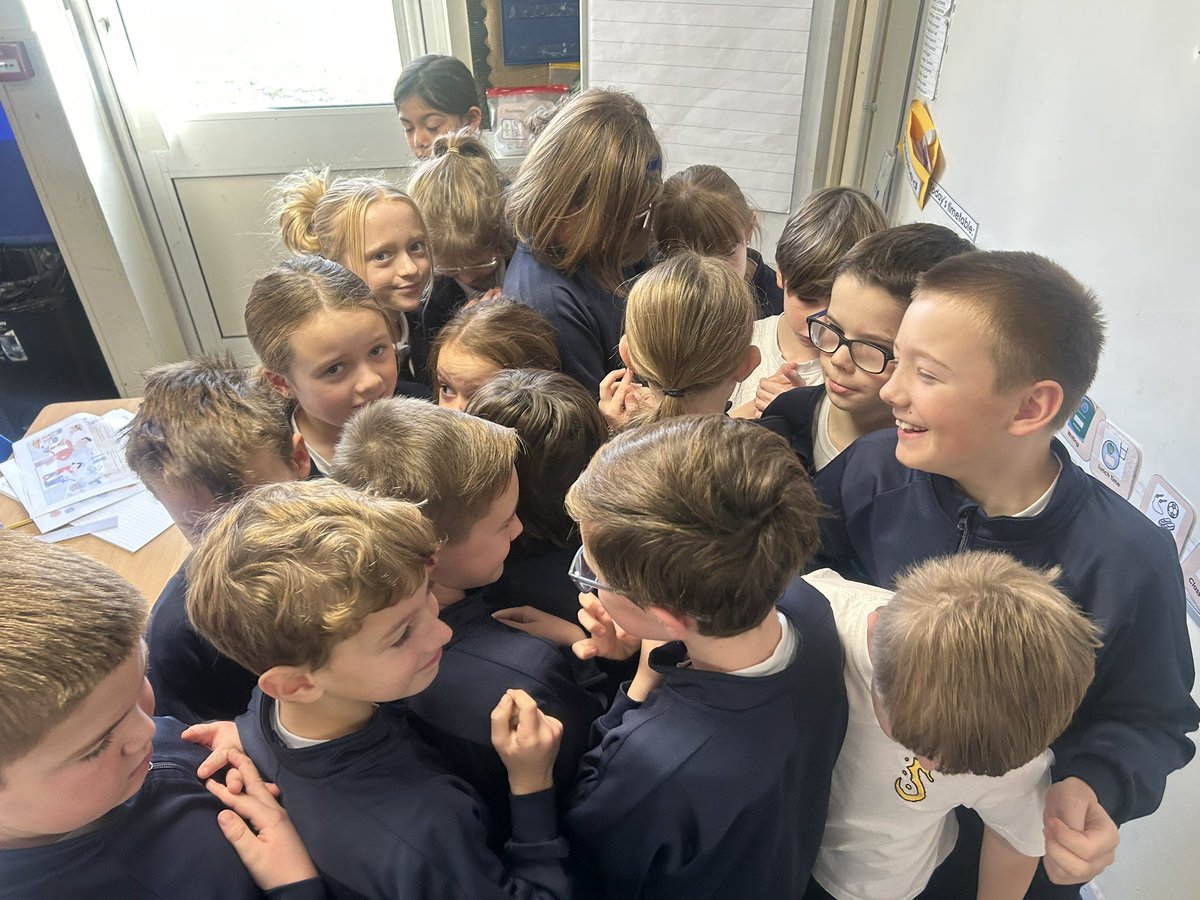 Shoreside Year 4 tweet media