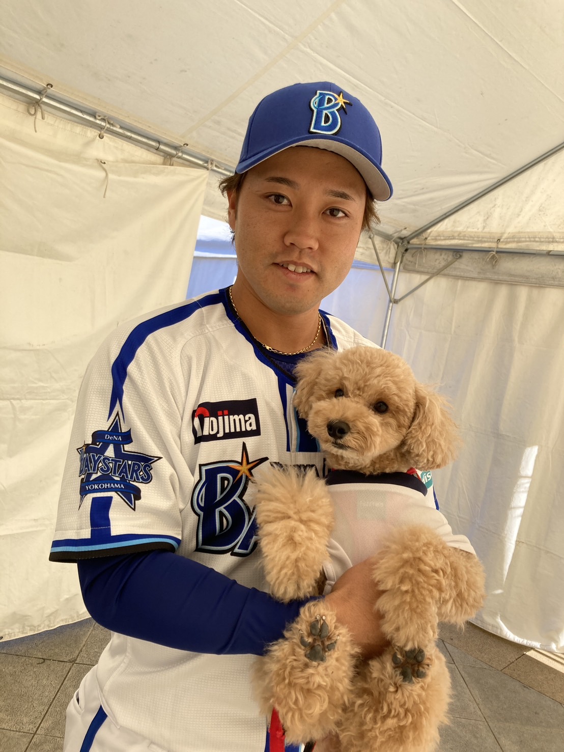 横浜DeNAベイスターズ on X: 