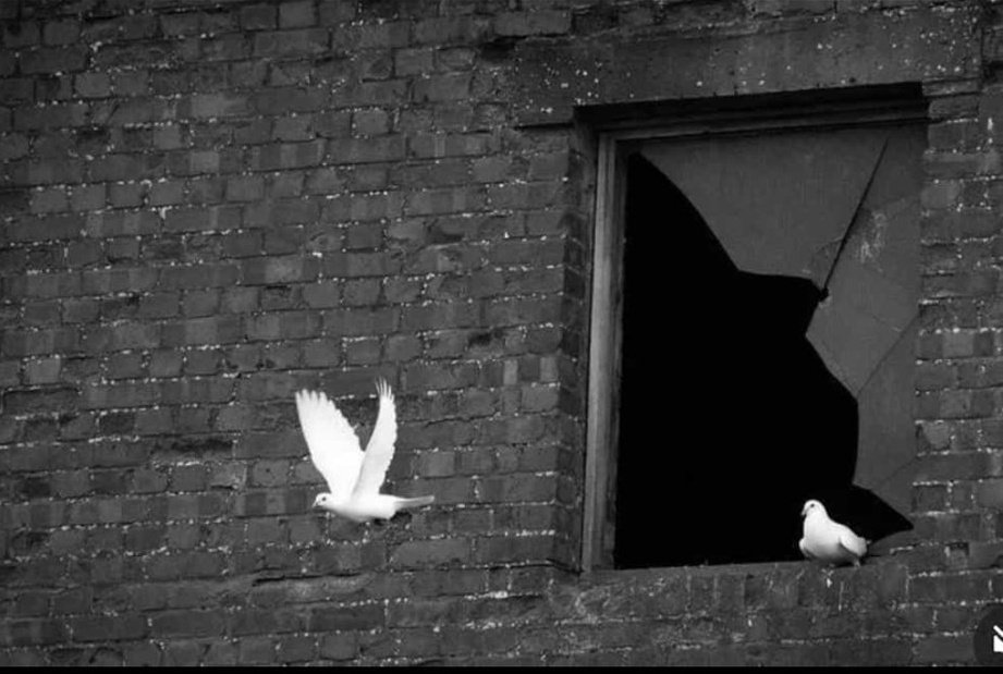 "Yıkık gönlün âhı, yıkar âlemi."