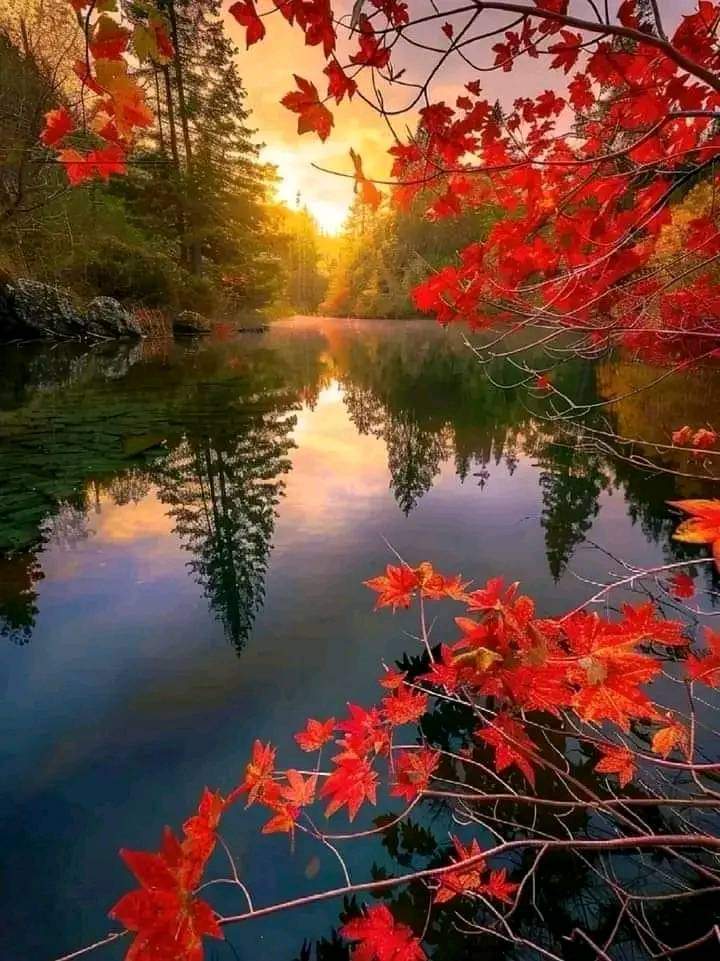 WizenlabsX's tweet photo. বাস্তবতা আমায় যে পথের দিকে ঠেলে দিচ্ছে,
সেই পথটা আমার কল্পনাতেও ছিল না!❤️‍🩹😅 https://t.co/tR8r6KLzFR