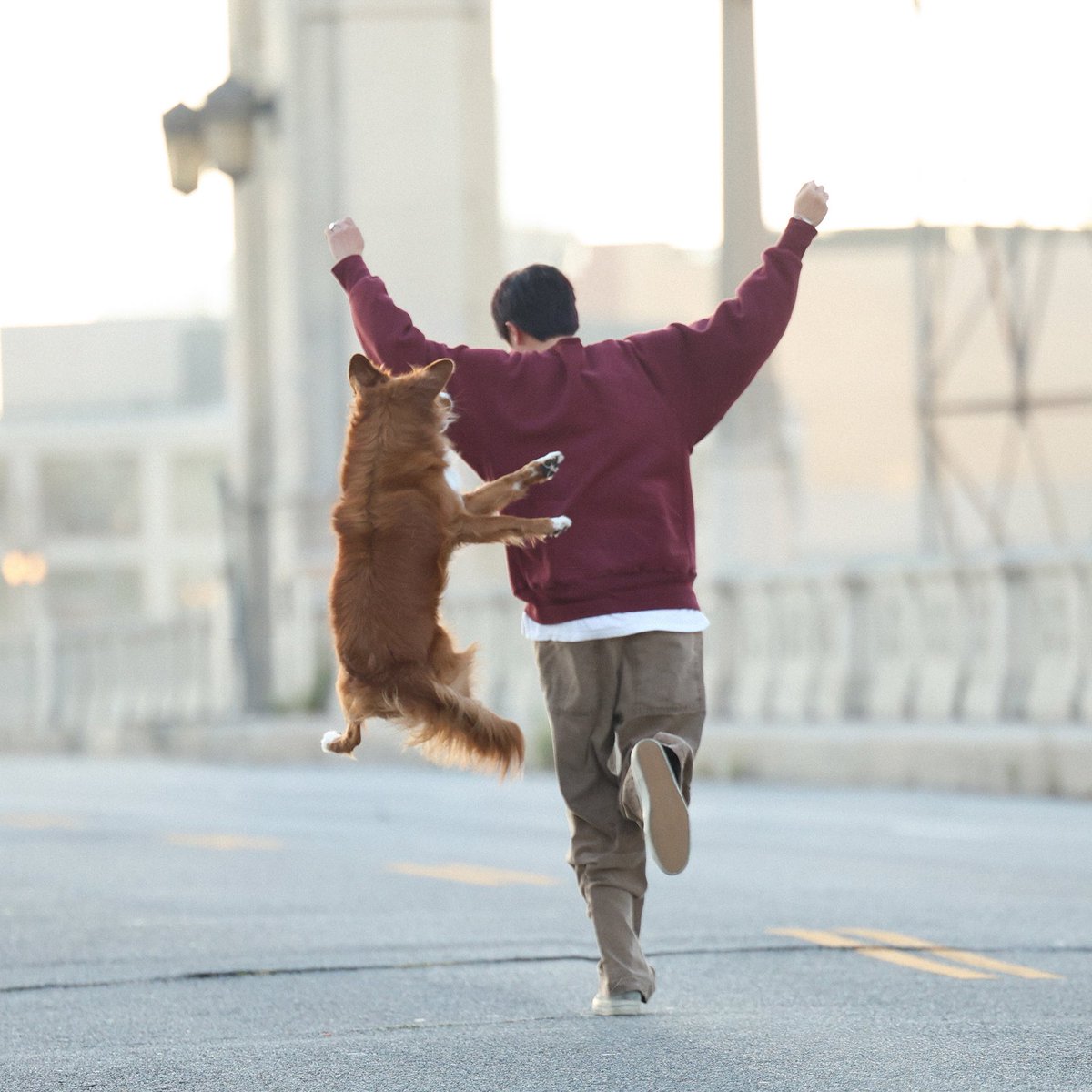 epiphanq's tweet photo. HELLO?? THIS PHOTO OF SEOKJIN AND THE DOG??🥺 https://t.co/jlJjGCbbb7