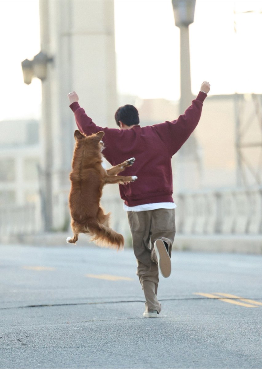 tangerinedrm's tweet photo. HELP THE DOG https://t.co/Ci7SfNvNyq