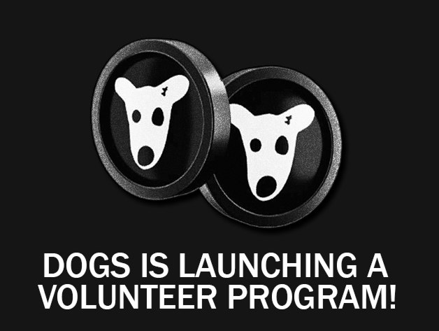 Nik_Alay's tweet photo. Organizing IRL events to help expand the $DOGS community.
Creating creative activities that will support popularization of the token.

Reward: 
Access to private chats 
Insider information 
Activity bonuses

Form link: https://t.co/5MrWkDfjcg

Dogs link: https://t.co/VpybkdmqQL https://t.co/PIQXkUfmw6