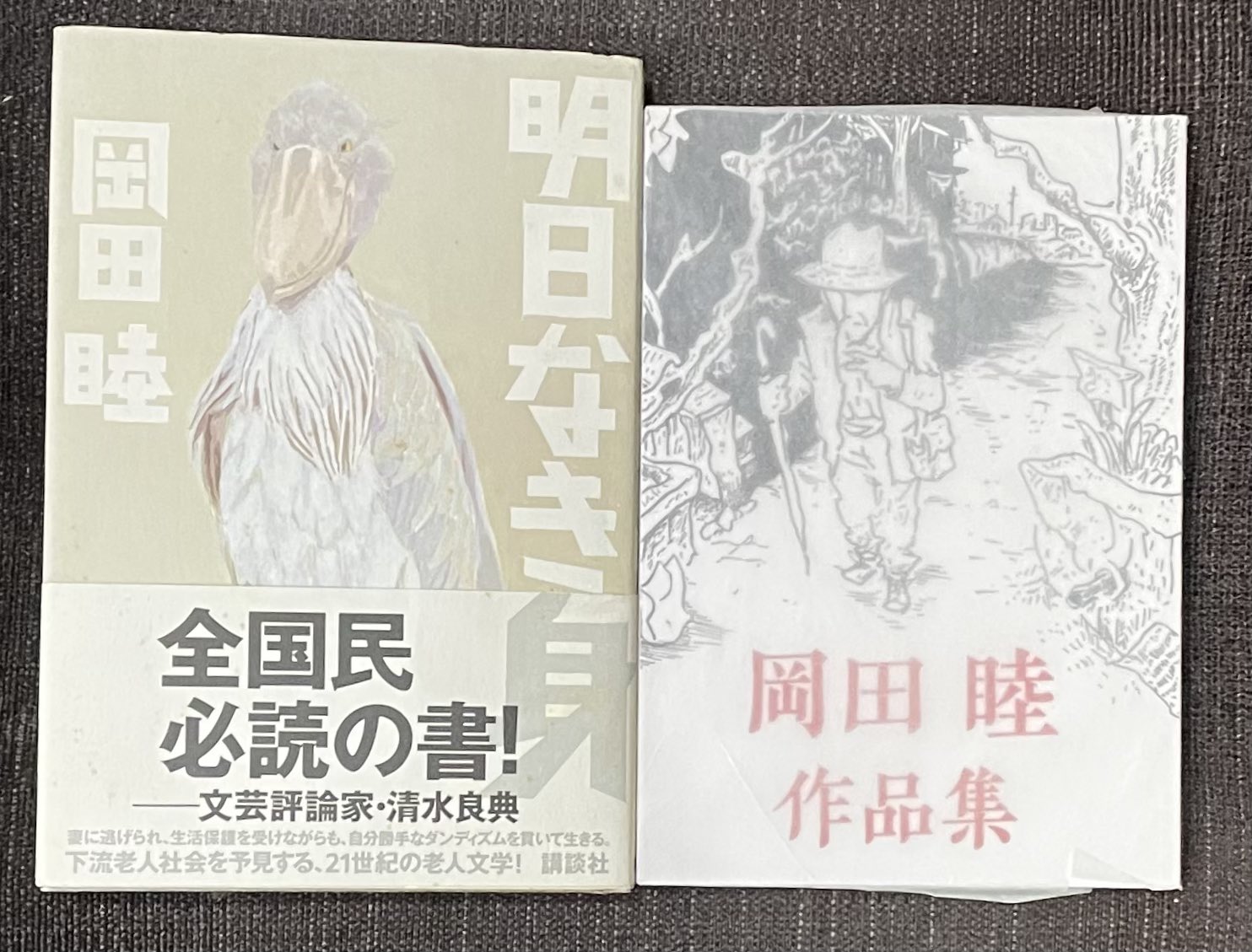 池田得太郎 異端小説集　希少本 新刊）「池田得太郎異端小説集」第2版 - 古書善行堂