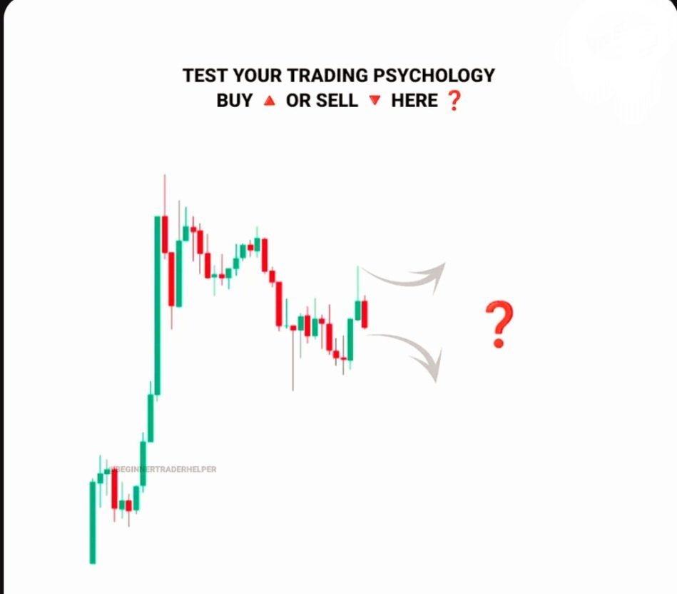 Market Rebellion tweet media