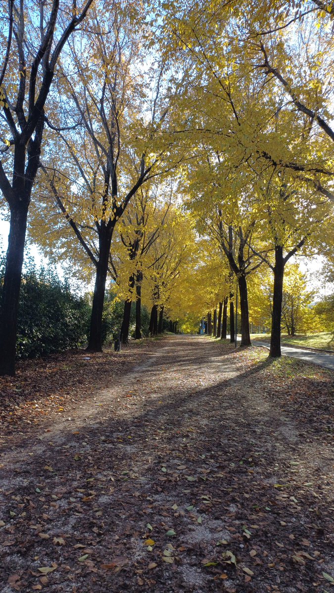 Have a lovely Saturday 🍂🍃🍂
#AutumnVibes