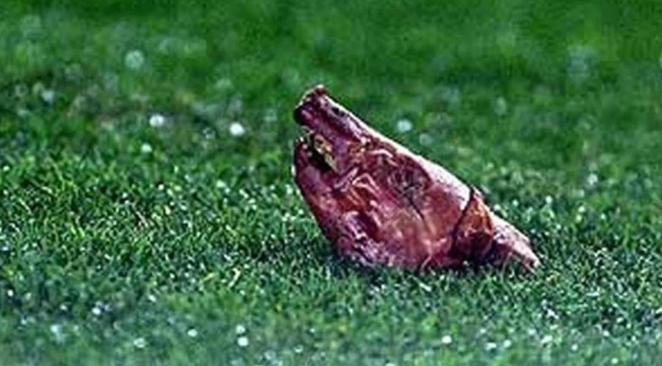 LCF666's tweet image. Avui fa 22 anys... #FCBlive