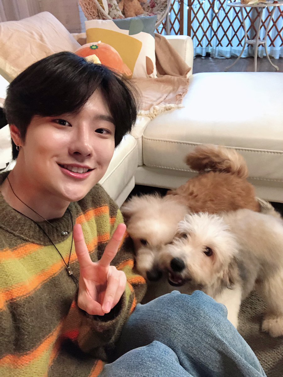 infiniteloopwdz's tweet photo. 갈몽이가 사랑하는 강쥐들의 건강, 행복, 사랑을 위해 🧡WOODZ(우즈)💙의 이름으로 사단법인 엔젤 프로젝트에 후원금을 전달하였습니다.

크고 작은 우리의 관심으로 강아지들에게 기적을 선물해보는 건 어떨까요?🐶🤍

#WOODZ #조승연 https://t.co/l0sadQZ7Np