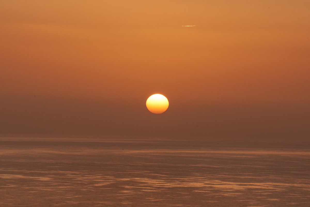 Eduardo Negrín tweet media