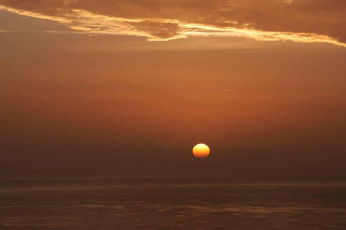 Eduardo Negrín tweet media