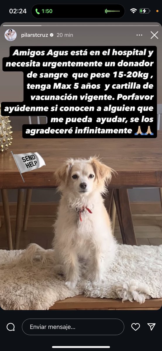 isabel burr tweet media