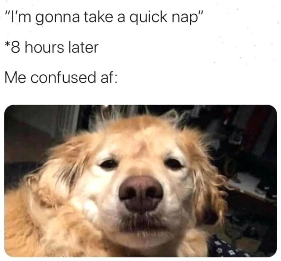 WholesomeMemes (@wholesomememe) on Twitter photo 