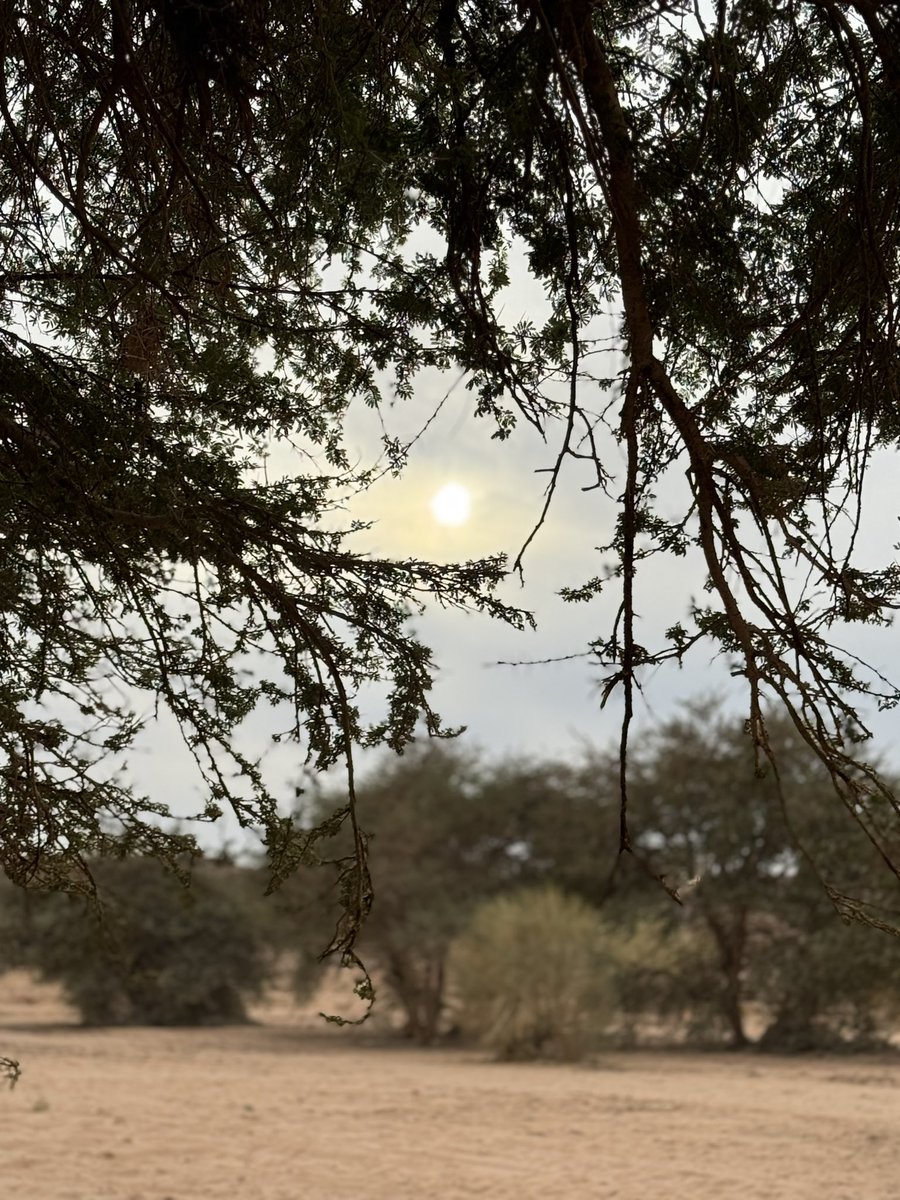 67arr's tweet image. #عشوائيات #عشوائيات_امس #تبوك