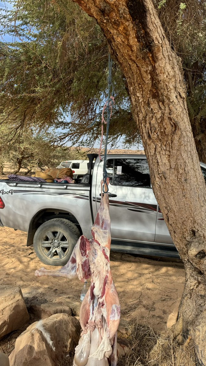 67arr's tweet image. #عشوائيات #عشوائيات_امس #تبوك