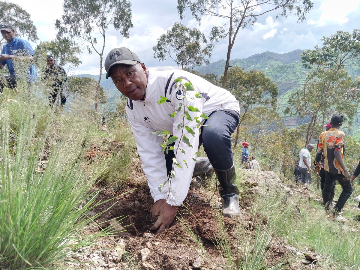 greenafricarw's tweet photo. Muri @MusanzeDistrict, ubuyobozi bwa @RwandaNorth n'ubw''Akarere hamwe n'ingabo bwifatanyije n'abaturage gutera ibiti mu murenge wa #Gashaki ku musozi wa #Mbwe, ni igikorwa Kandi cyitabiriwe n'ubuyobozi bwa Minisiteri y'umutekano yagiteguye #RwOT @EnvironmentRw @RwandaGov https://t.co/2TUCuLbHvL