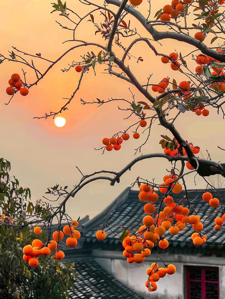 dreamwriter787's tweet photo. https://t.co/Psxyt61IJF