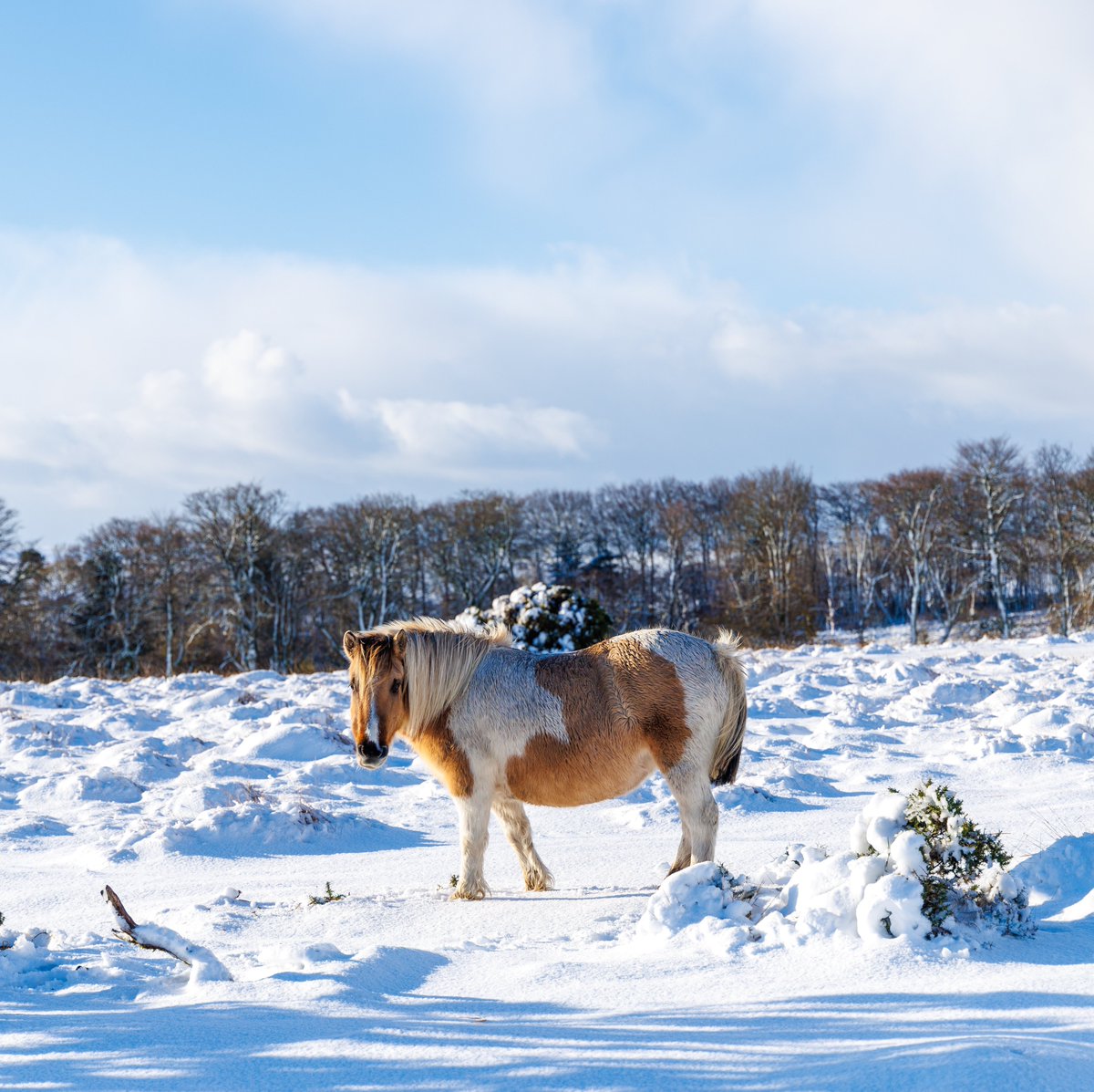 Jason Sturgess tweet media