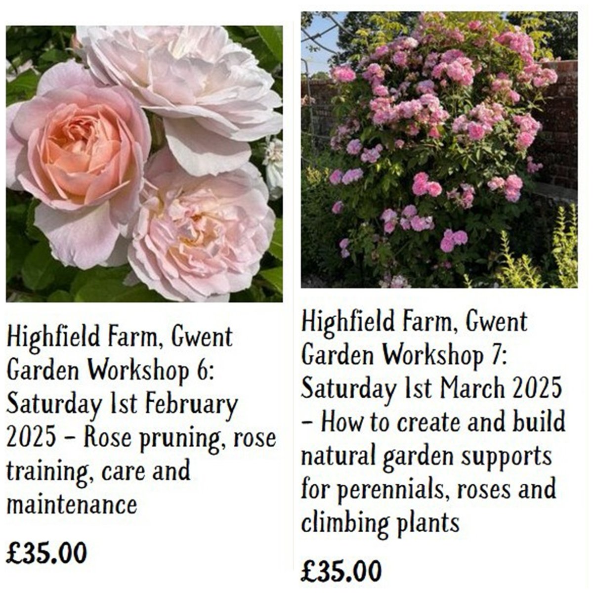 NorthantsNGS's tweet photo. Garden Workshops.
Following a series of very well-received, and sold-out, garden workshops last autumn and winter, a second series is being held in the beautiful surroundings of Highfield Farm, Gwent, by kind invitation of Dr Roger &amp; Mrs Jenny Lloyd.
https://t.co/ZK4upIhrRS https://t.co/F8QS7351ZU