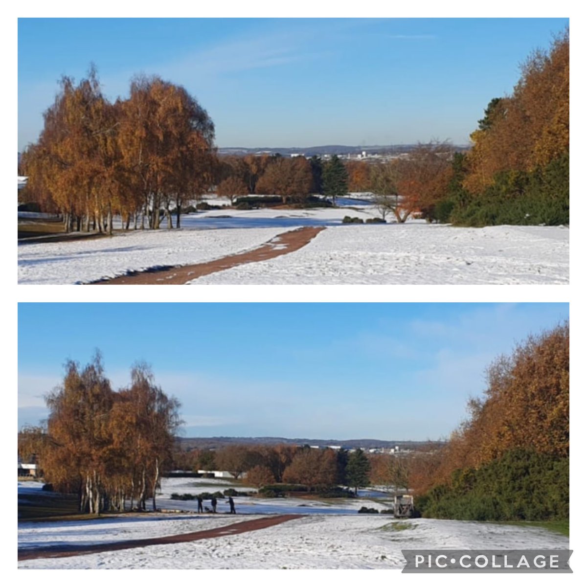 sam wardill tweet media